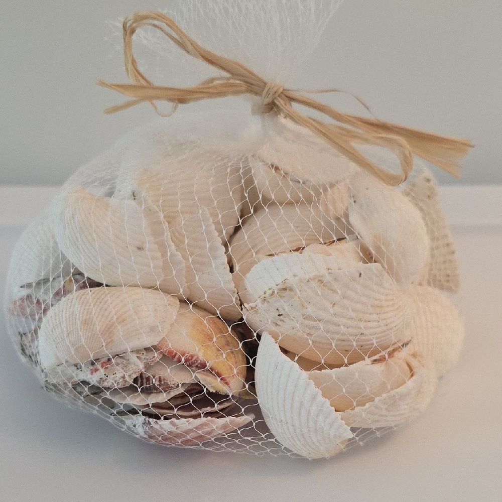 Decorative Seashell Bag Of Shells
